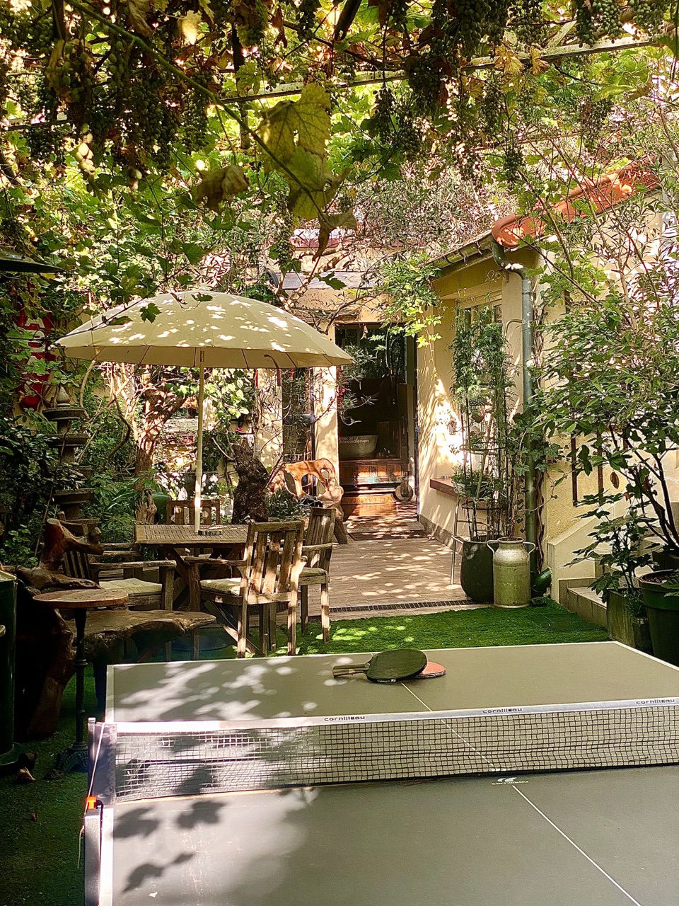 Cour terrasse
